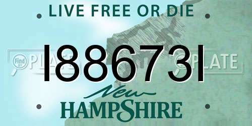 I88673I New Hampshire License Plate
