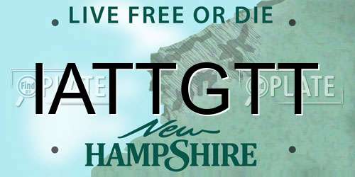 IATTGTT New Hampshire License Plate