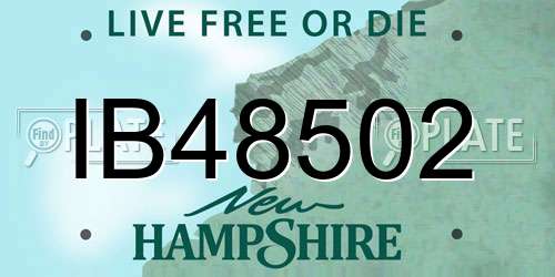 IB48502 New Hampshire License Plate