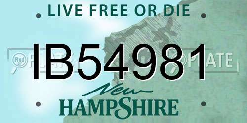 IB54981 New Hampshire License Plate