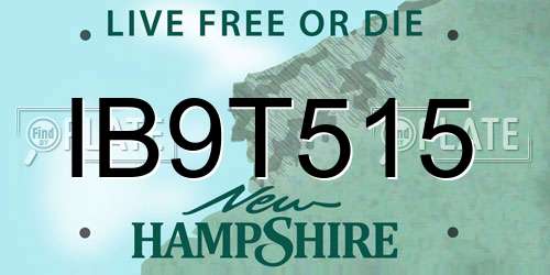 IB9T515 New Hampshire License Plate