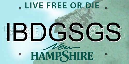 IBDGSGS New Hampshire License Plate