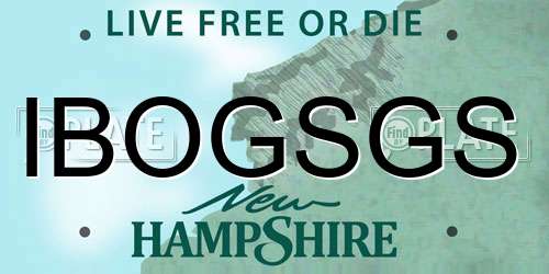 IBOGSGS New Hampshire License Plate