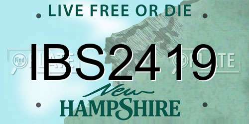IBS2419 New Hampshire License Plate