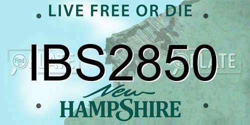 IBS2850 New Hampshire License Plate