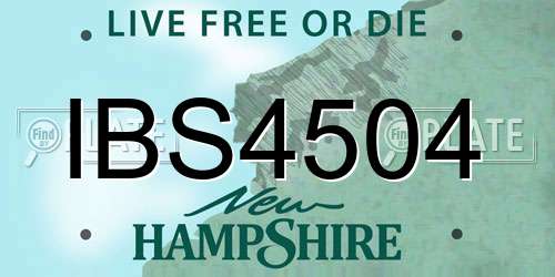 IBS4504 New Hampshire License Plate