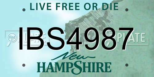 IBS4987 New Hampshire License Plate