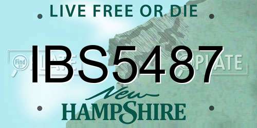 IBS5487 New Hampshire License Plate
