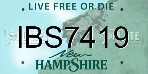 IBS7419 New Hampshire License Plate