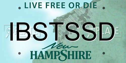IBSTSSD New Hampshire License Plate
