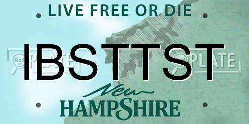 IBSTTST New Hampshire License Plate