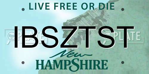 IBSZTST New Hampshire License Plate