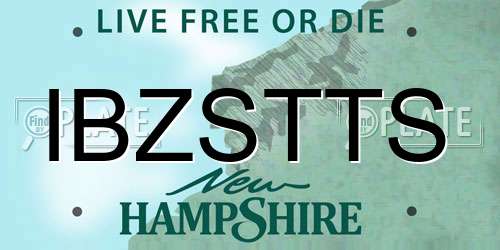IBZSTTS New Hampshire License Plate