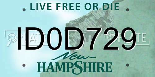 ID0D729 New Hampshire License Plate