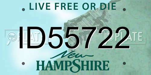 ID55722 New Hampshire License Plate
