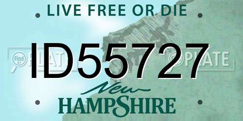 ID55727 New Hampshire License Plate