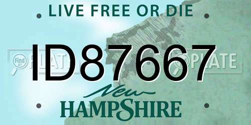 ID87667 New Hampshire License Plate