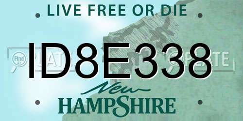 ID8E338 New Hampshire License Plate
