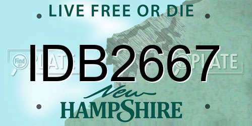 IDB2667 New Hampshire License Plate