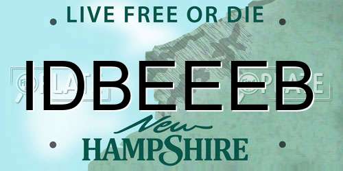 IDBEEEB New Hampshire License Plate