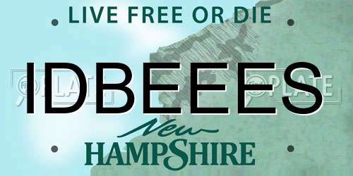 IDBEEES New Hampshire License Plate