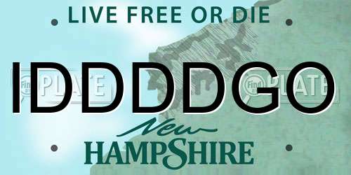 IDDDDGO New Hampshire License Plate