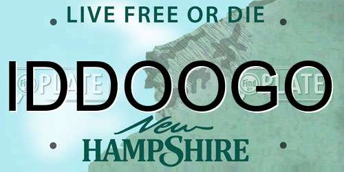 IDDOOGO New Hampshire License Plate