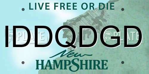 IDDQDGD New Hampshire License Plate