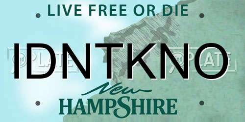 IDNTKNO New Hampshire License Plate