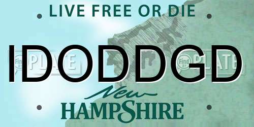 IDODDGD New Hampshire License Plate
