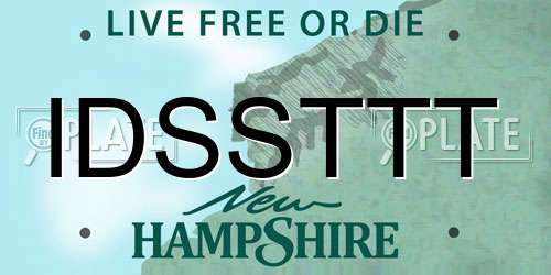 IDSSTTT New Hampshire License Plate