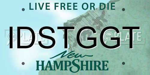 IDSTGGT New Hampshire License Plate