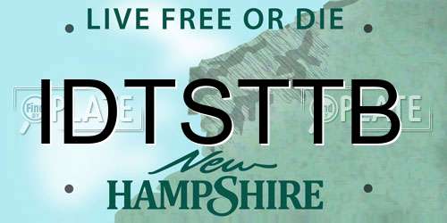IDTSTTB New Hampshire License Plate