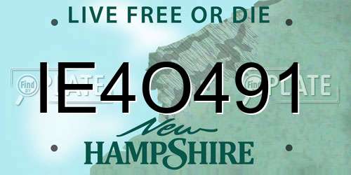 IE4O491 New Hampshire License Plate