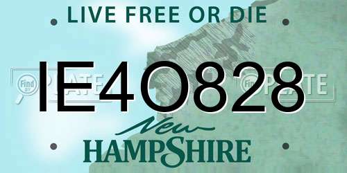 IE4O828 New Hampshire License Plate
