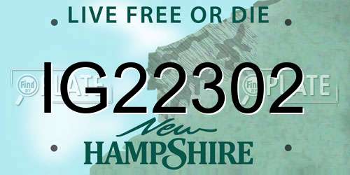 IG22302 New Hampshire License Plate