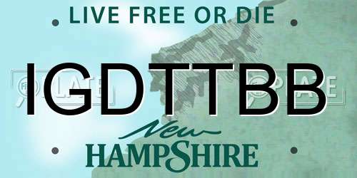 IGDTTBB New Hampshire License Plate
