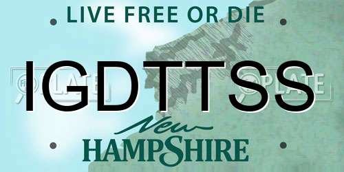 IGDTTSS New Hampshire License Plate