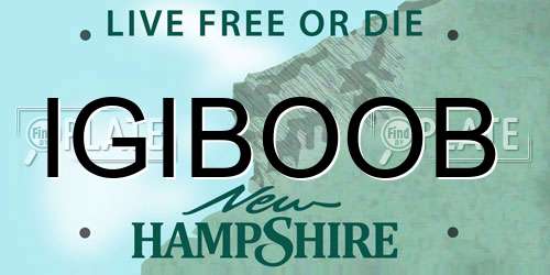 IGIBOOB New Hampshire License Plate