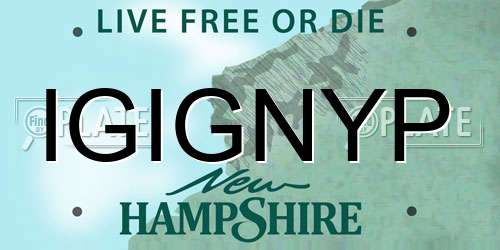 IGIGNYP New Hampshire License Plate