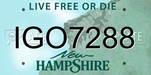 IGO7288 New Hampshire License Plate