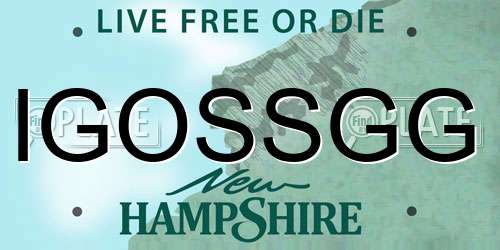 IGOSSGG New Hampshire License Plate