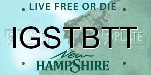 IGSTBTT New Hampshire License Plate