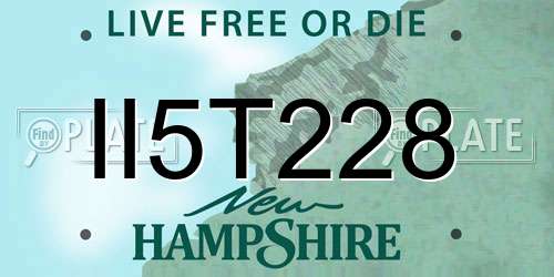 II5T228 New Hampshire License Plate