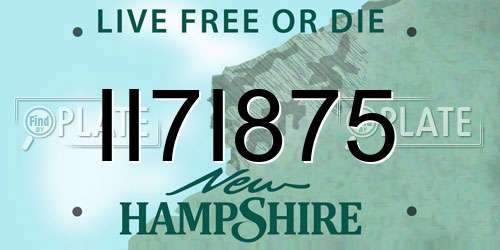 II7I875 New Hampshire License Plate