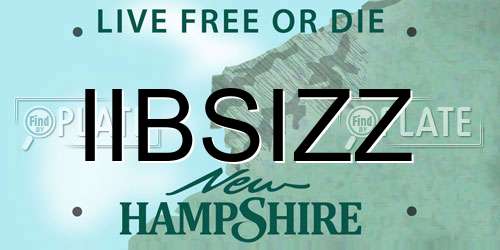 IIBSIZZ New Hampshire License Plate