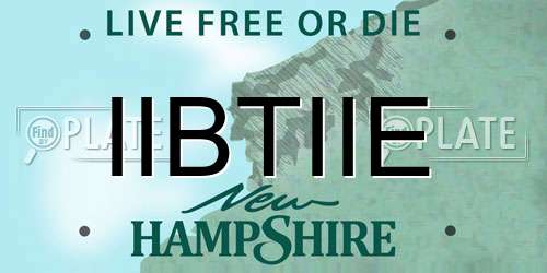 IIBTIIE New Hampshire License Plate
