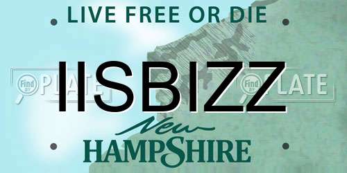 IISBIZZ New Hampshire License Plate