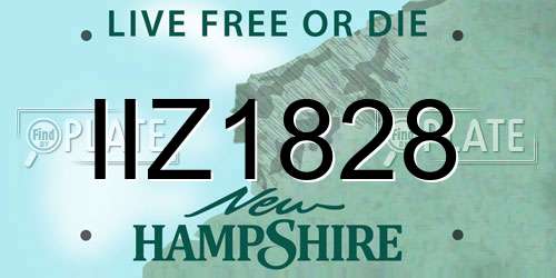 IIZ1828 New Hampshire License Plate