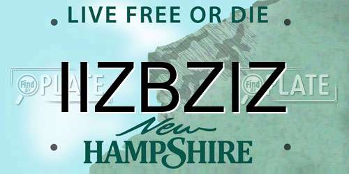 IIZBZIZ New Hampshire License Plate